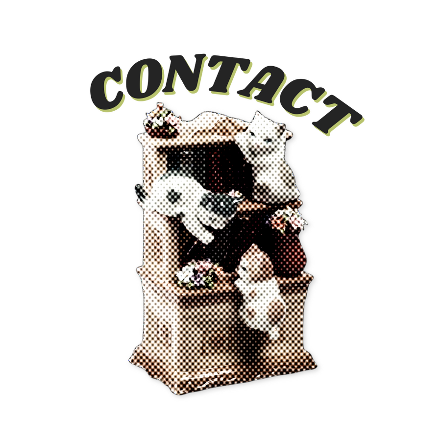 Porcelain bookcase with miniature cats