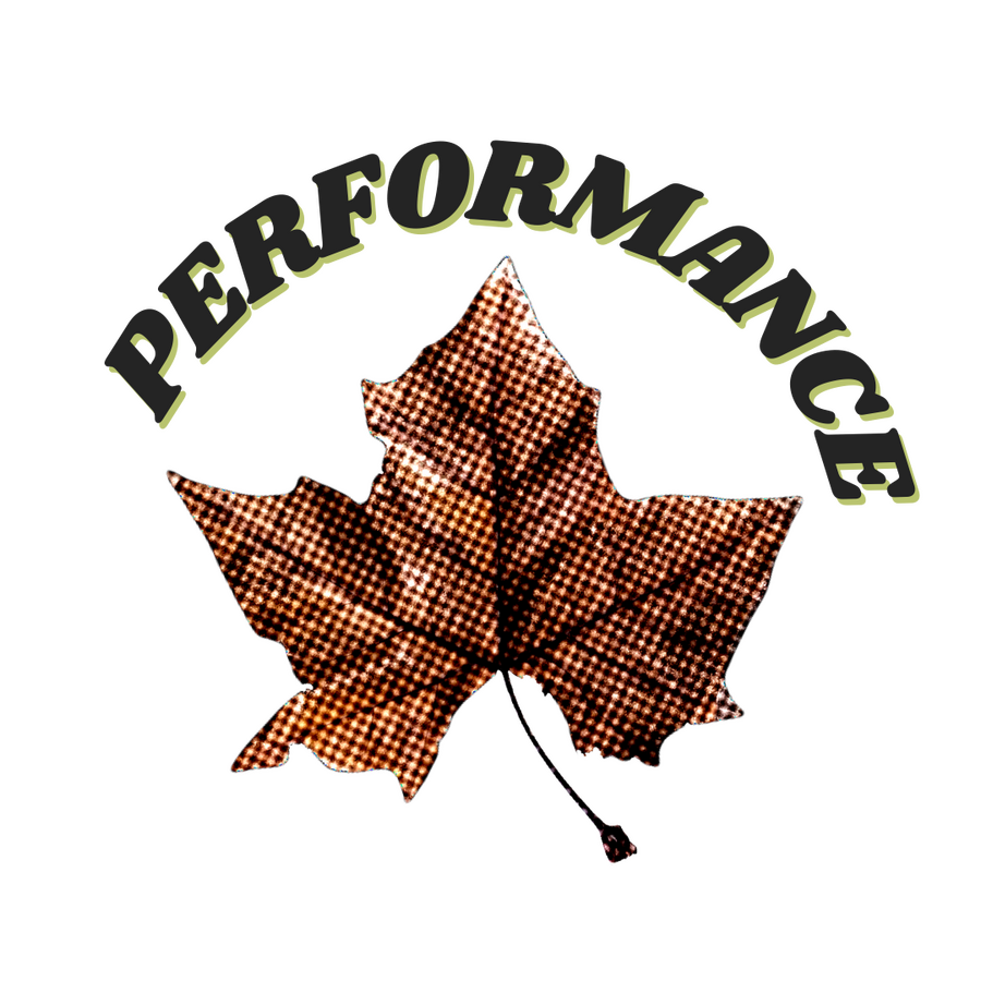 A pixellated maple leaf